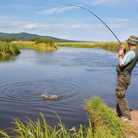 Bedwin Street Fisheries